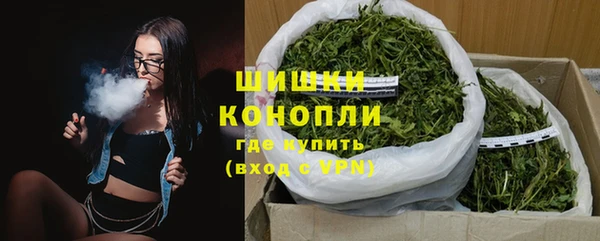 дмт Пестово