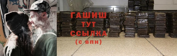 дмт Пестово