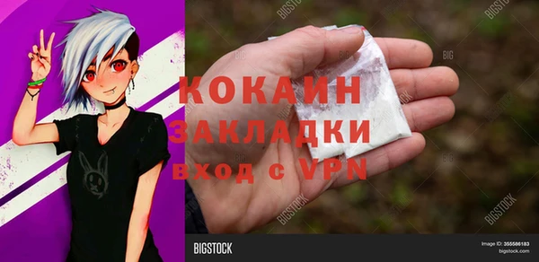 дмт Пестово