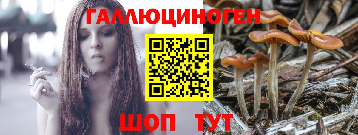 Урус-Мартан  Галлюциногенные грибы прущие грибы  Вход с VPN  Псилоцибиновые грибы ЛСД 